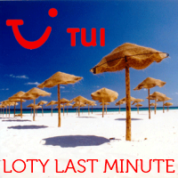 Loty last minute: Turcja 297 PLN, Ibiza i Majorka 397 PLN, Madera 697 PLN