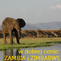 Promocja KLM: Zambia i Zimbabwe z Polski od 2488 PLN
