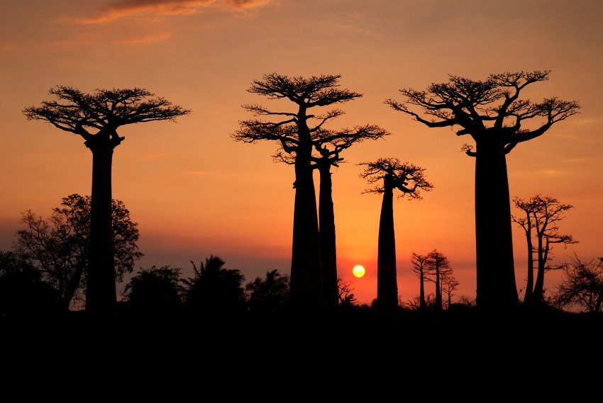 Madagaskar z Europy w świetnej cenie! (+kalendarz terminów)