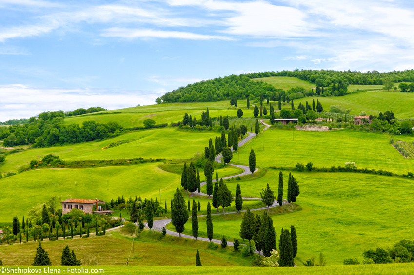 Toskania Piza Wlochy Beautiful landscape of Tuscany with the twisting road and cypresses