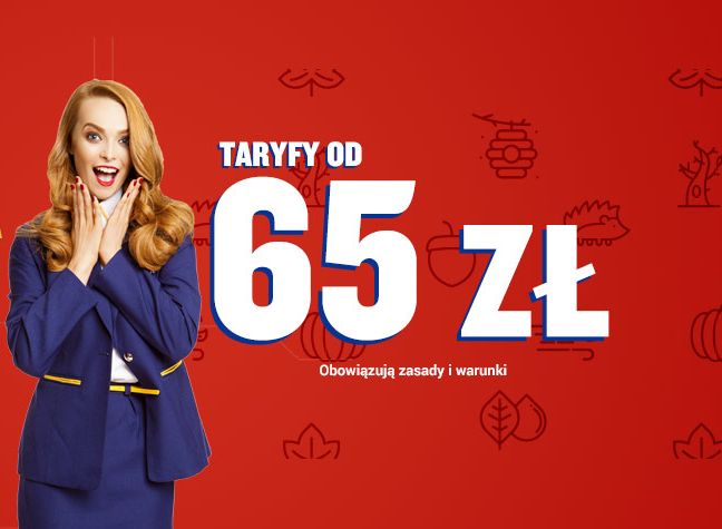 Ryanair: promocja podróży z lotami od 65 PLN w każdą stronę!