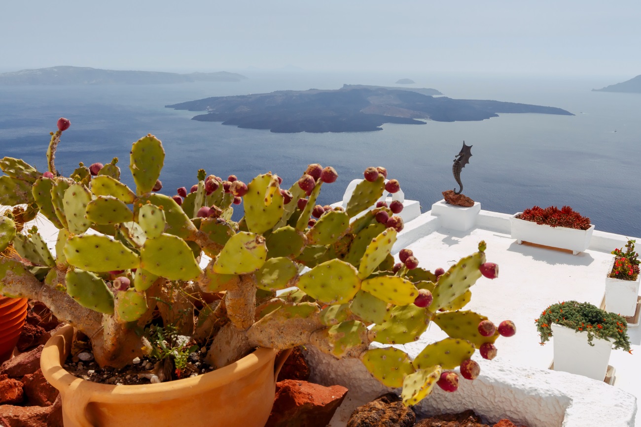 Ale widok! Piękne Santorini z Polski – na jednej rezerwacji